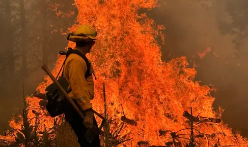 Why are Washington wildfires so destructive?