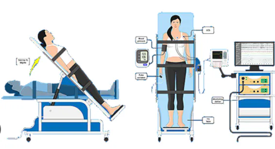 What is a tilt table test for fainting?