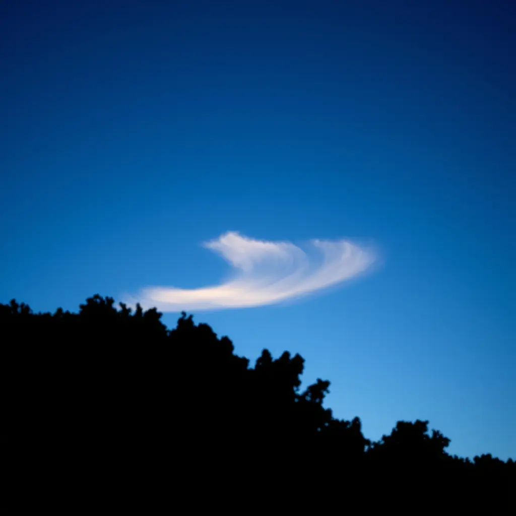 Why did a SpaceX launch create a 'jellyfish' cloud over Charlotte?